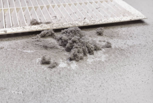 Best Ductwork Cleaning Services  in Lamar, CO