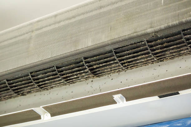 Best Air Duct Inspection  in Lamar, CO